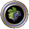 Napa Valley